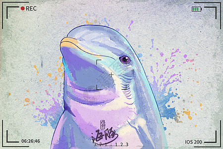 海豚水彩明信片插画图片