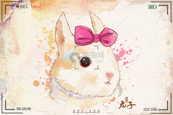 兔子水彩明信片插画图片