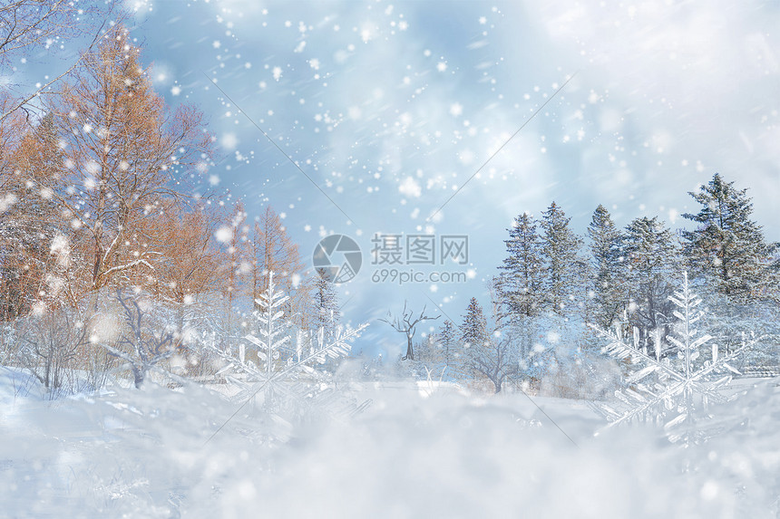 冬天背景图片素材 正版创意图片 摄图网