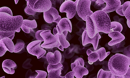 螺旋状细菌幽门螺杆菌感染高清图片