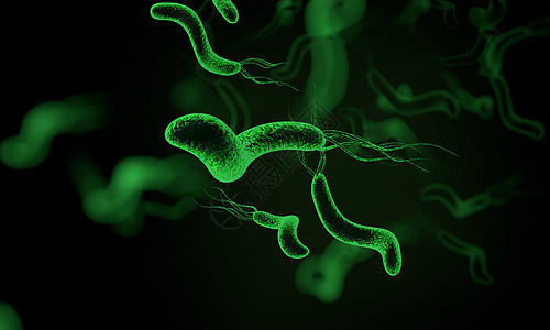 幽门螺旋杆菌图片