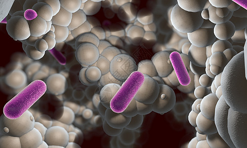 单细胞感染细菌设计图片