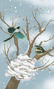 雪景中树枝上搭巢的喜鹊图片