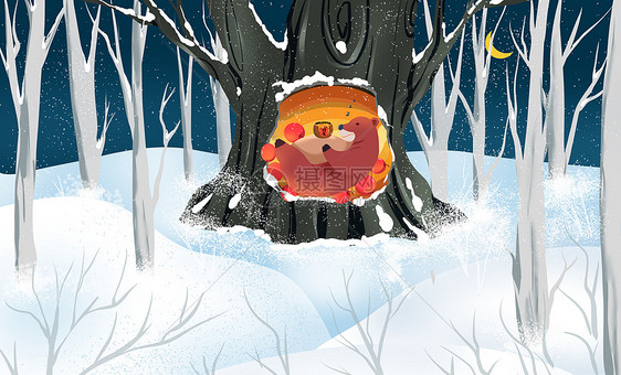 冬天睡在树洞里的大熊图片