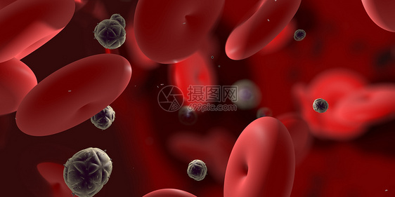 病毒和红细胞图片