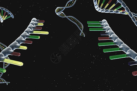 基因重组背景图片