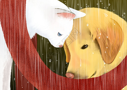 雨水流浪动物背景图片