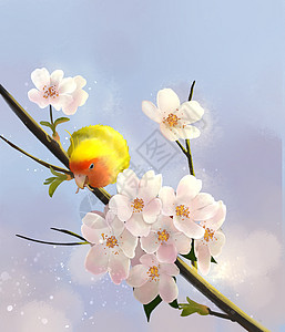 站在樱花树上的鹦鹉图片