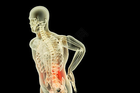 脊柱组织C4D腰椎病背景设计图片