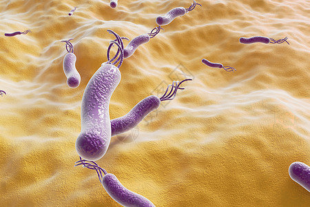 C4D肠道细菌场景背景图片