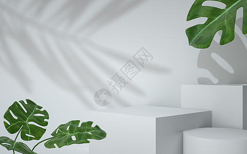 龟背竹叶子白色几何立体电商场景设计图片