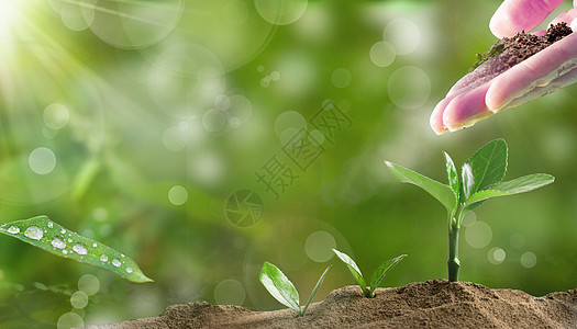 植树节背景图片