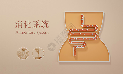 肠道消化3D扁平化医疗场景设计图片