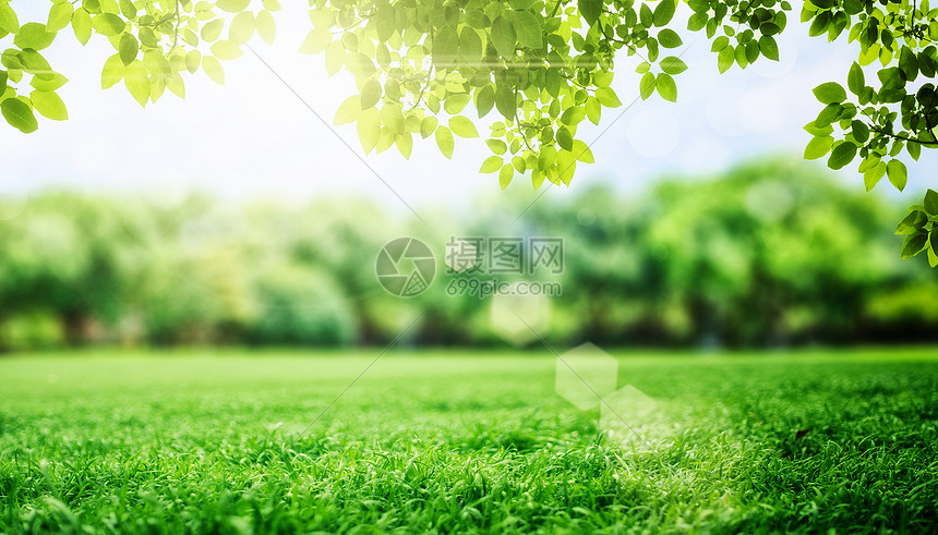 春天草地背景图片素材 正版创意图片 摄图网 春天草地背景图片素材 正版创意图片 摄图网