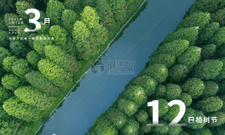 简约312植树节gif动图图片-正版gif素材401903462-摄图网