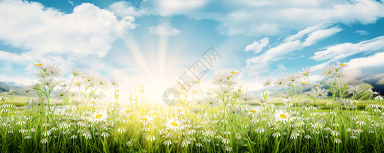 大自然背景创意图片 图片合成 平面设计 大自然背景创意设计 摄图网