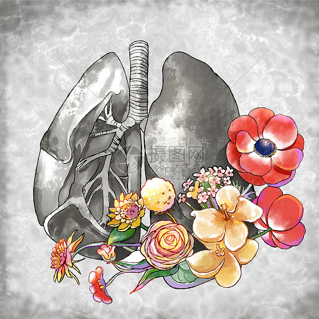 肺与花朵创意水彩插画图片