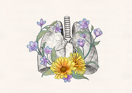 肺和花卉器官插画图片