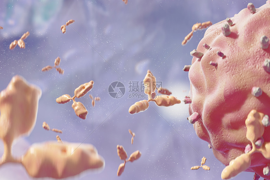 C4D细胞免疫系统图片