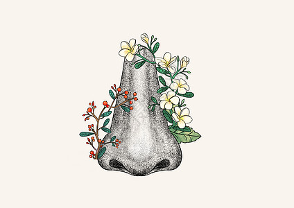 鼻子和花卉器官插画高清图片