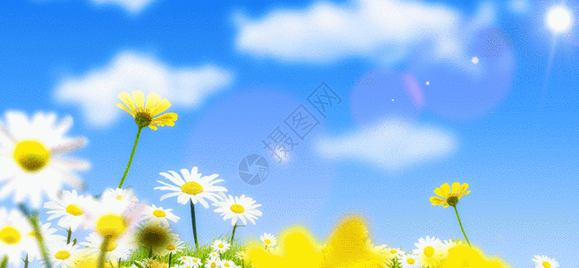 花卉蓝天背景gif动图图片