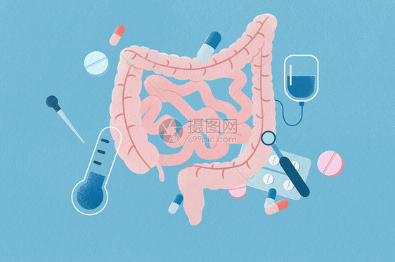 身体器官肠道扁平风医疗插画图片