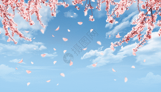 春天背景春季樱花GIF高清图片