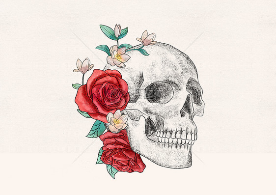 头骨和花卉器官插画图片
