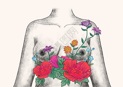 乳房和花卉器官插画背景图片