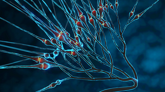 脑神经疾病活性神经细胞突触设计图片