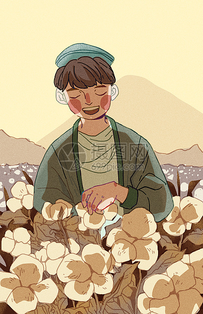 在棉花田里采摘棉花的新疆小伙图片