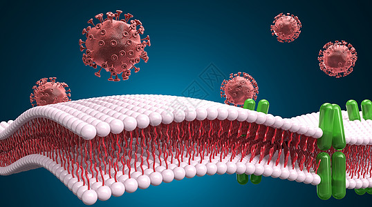 皮下组织3D病毒感染设计图片