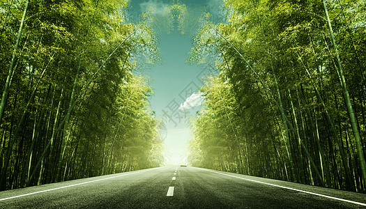 竹林公路背景图片