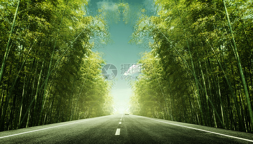 竹林公路背景图片