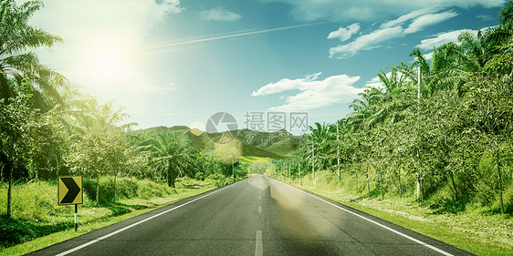 绿化公路背景图片