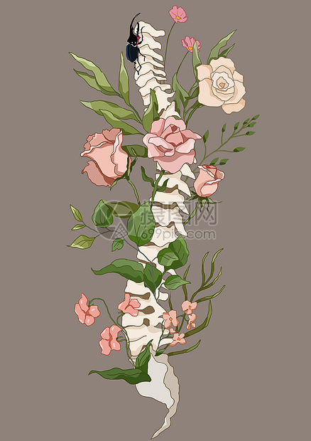 花卉器官骨骼脊椎之花图片