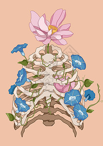 56个民族56之花花卉器官骨骼胸腔肋骨之花插画