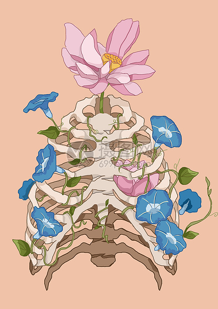花卉器官骨骼胸腔肋骨之花