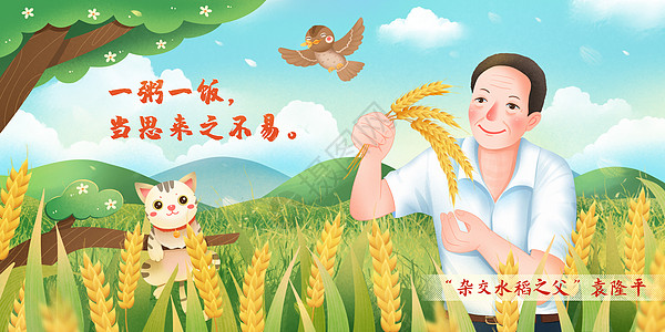 夏至背景夏天农忙时期研究水稻的袁隆平先生插画