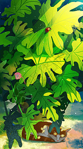 休息脚夏至植物下休息的猫插画