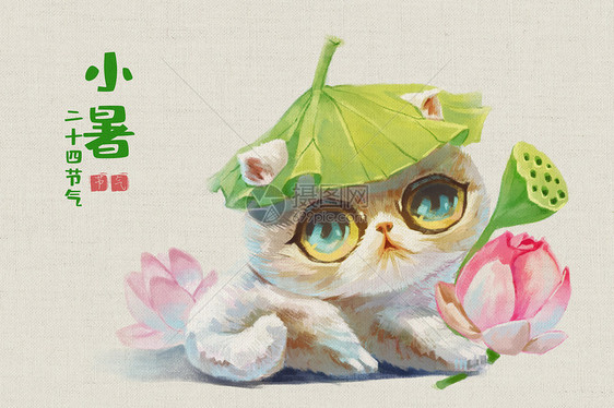 小暑萌猫与荷花图片