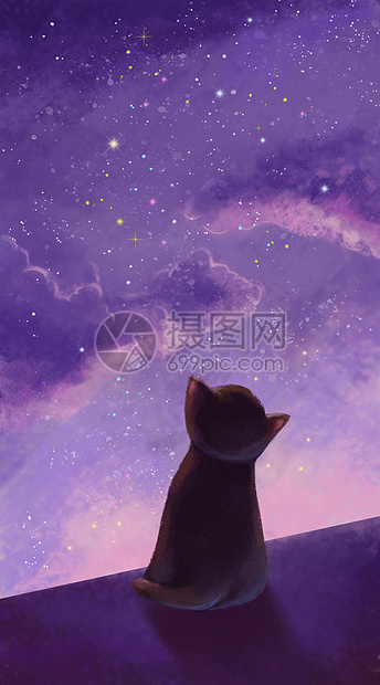 夜空下的小黑猫图片