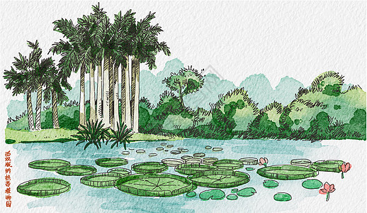 云南旅游西双版纳热带植物园插画
