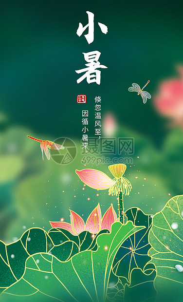 小暑节气插画图片