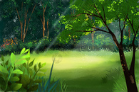 夏日阳光森林背景场景插画图片