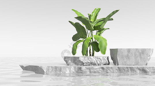 绿色大理石清新植物展台设计图片