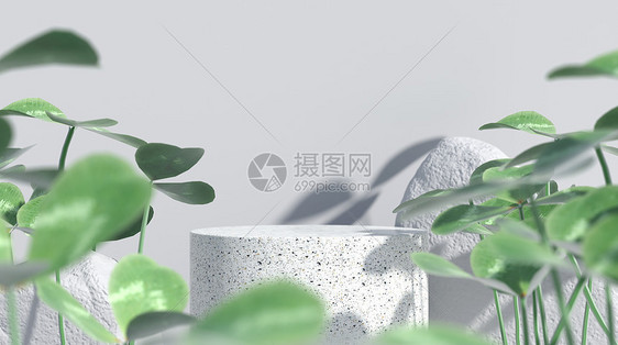 清新植物展台图片