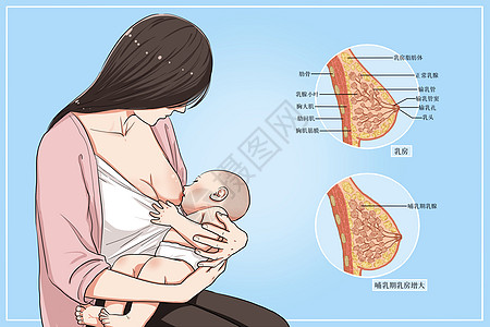 哺乳母乳喂养医疗插画图片
