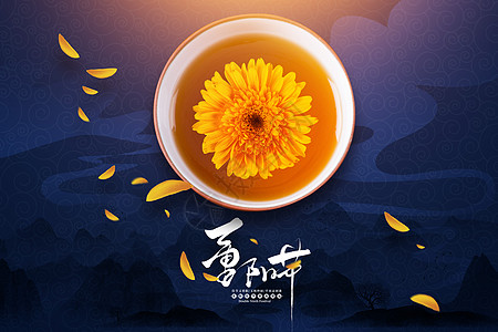 菊花茶重阳节设计图片