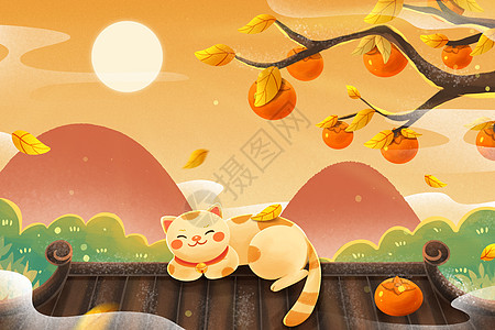 秋分微信秋天寒露柿子树下晒太阳的猫插画
